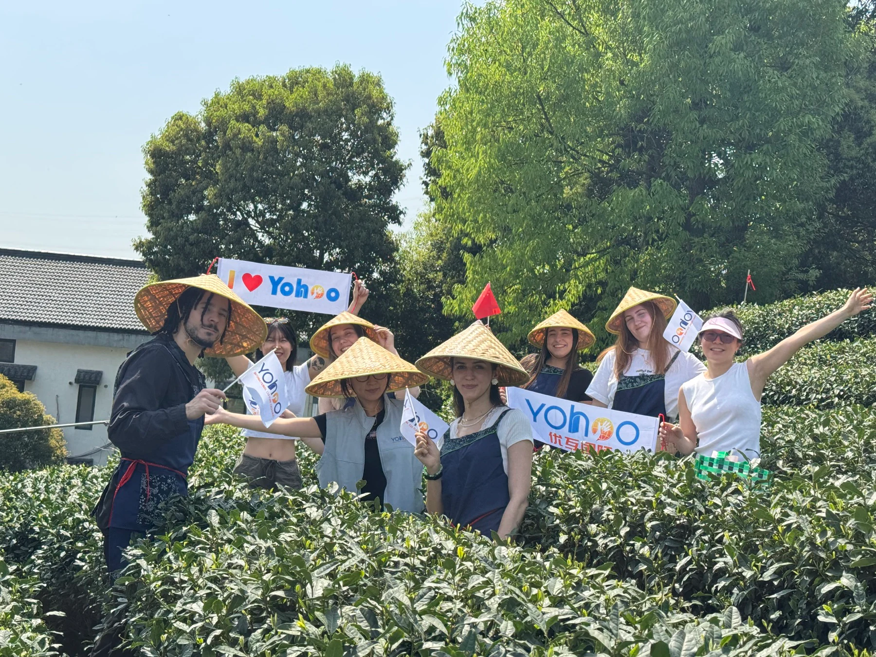 International au pairs and Yohoo staff joining a tea-picking activity in Hangzhou